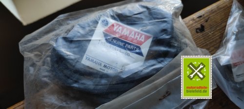 IMG_20230831_191858